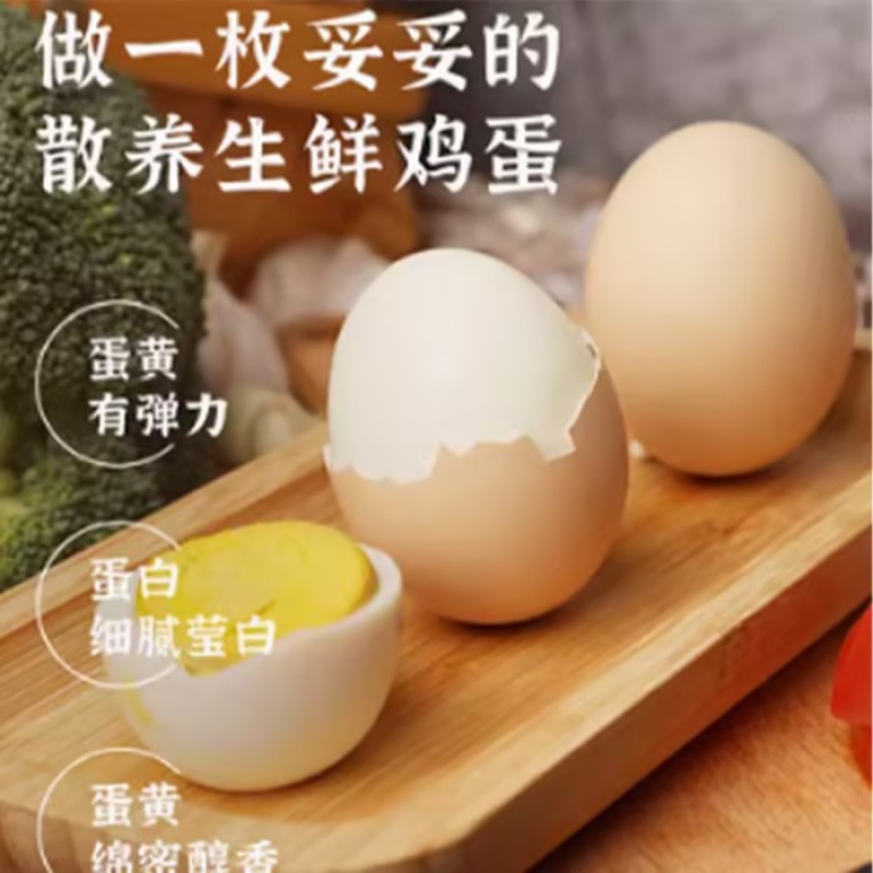 鸡蛋土鸡蛋工厂直销量大质优价优一手货源欢迎咨询采购