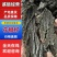 花椒籽饼，做底肥，上地好产品！蛋白12脂肪6有机质47，