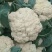有机花菜松花菜量大价优品相好运输便利欢迎选购