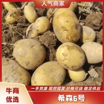 精品黄心土豆希森6号产地一手货源可一件代发视频看货