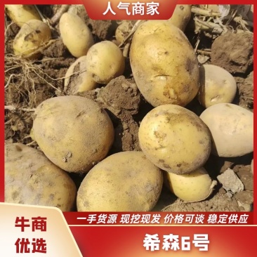 精品黄心土豆希森6号产地一手货源可一件代发视频看货