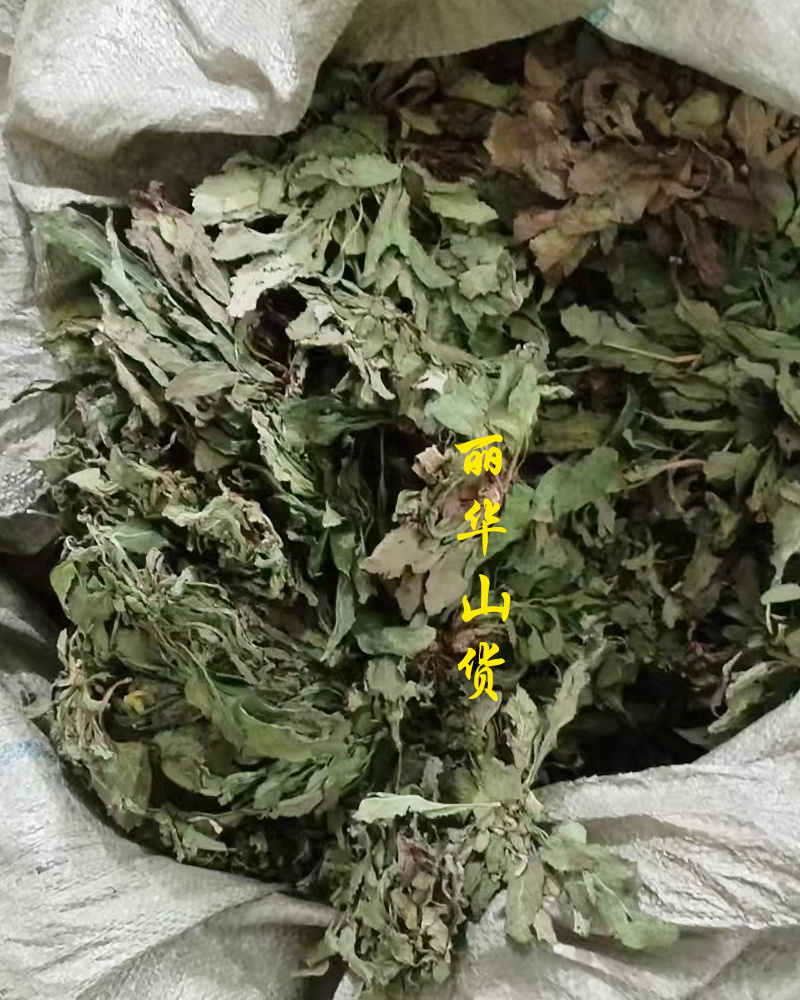 癞蛤蟆草癞头棵野生新鲜干货荔枝草都有一手货源批发零售长期