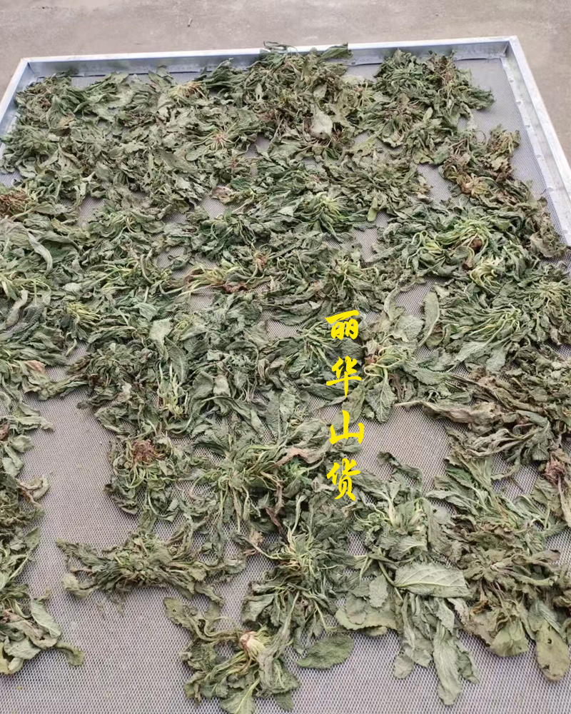 癞蛤蟆草癞头棵野生新鲜干货荔枝草都有一手货源批发零售长期