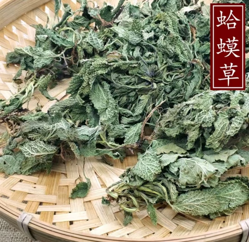 癞蛤蟆草癞头棵野生新鲜干货荔枝草都有一手货源批发零售长期