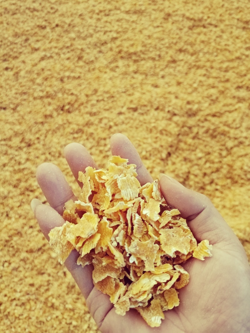 厂家供货可做私聊玉米压片按需求打包可以实地考察订货源头一手价