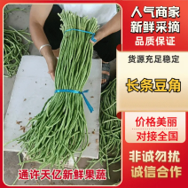 【源头货】长条豆角精品货对接批发市场价格便宜