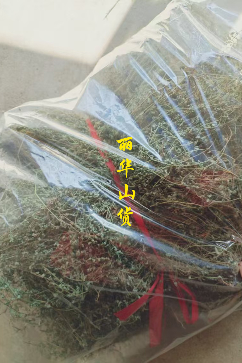地锦草野生新货血见愁奶浆草大货无霉变批发零售品质好一手货