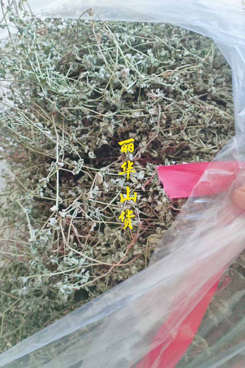 地锦草野生新货血见愁奶浆草大货无霉变批发零售品质好一手货