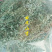 地锦草野生新货血见愁奶浆草大货无霉变批发零售品质好一手货