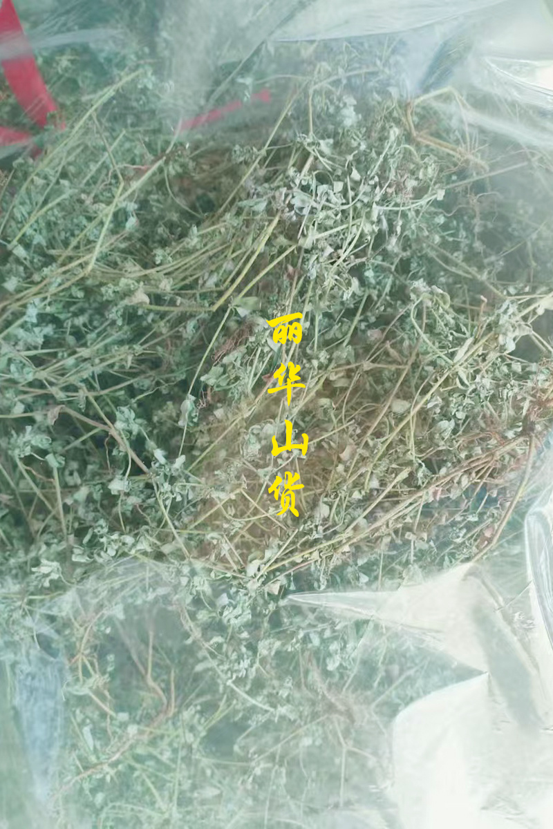 地锦草野生新货血见愁奶浆草大货无霉变批发零售品质好一手货