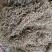 地锦草野生新货血见愁奶浆草大货无霉变批发零售品质好一手货