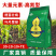 大量元素水溶肥料高氮型快速补氮促进萌芽开花果实