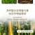 大量元素水溶肥料高氮型快速补氮促进萌芽开花果实
