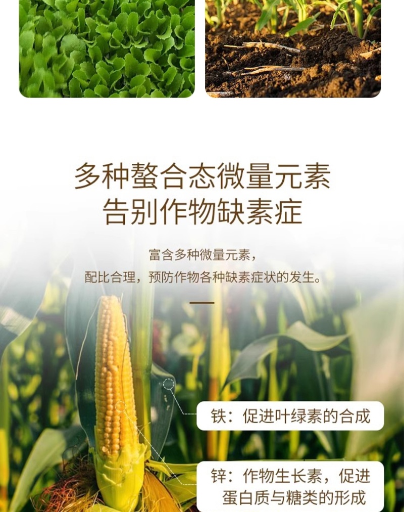 大量元素水溶肥料高氮型快速补氮促进萌芽开花果实