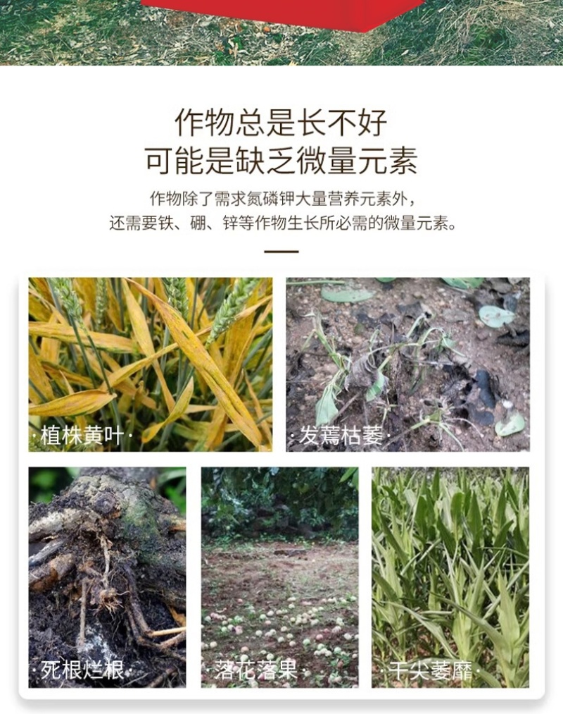 大量元素水溶肥料高钾型提高坐果率膨果壮果天梦圆