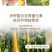 大量元素水溶肥料高钾型提高坐果率膨果壮果天梦圆