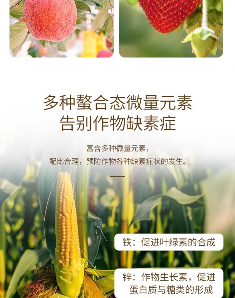 大量元素水溶肥料高钾型提高坐果率膨果壮果天梦圆