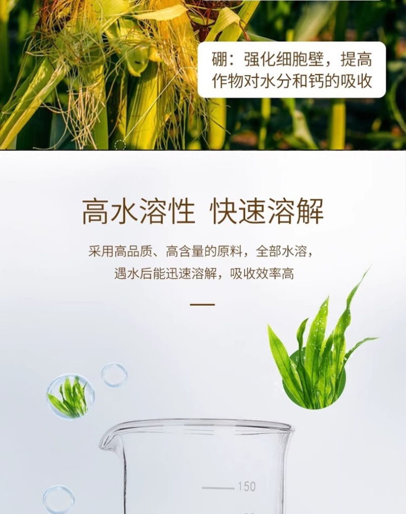 大量元素水溶肥料高钾型提高坐果率膨果壮果天梦圆