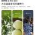 大量元素水溶肥料有机水溶肥水溶肥料河南水溶肥天梦圆