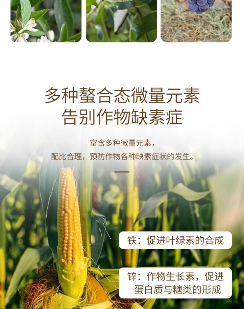 大量元素水溶肥料有机水溶肥水溶肥料河南水溶肥天梦圆