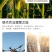 大量元素水溶肥料高磷高钾水溶肥河南水溶肥料天梦圆