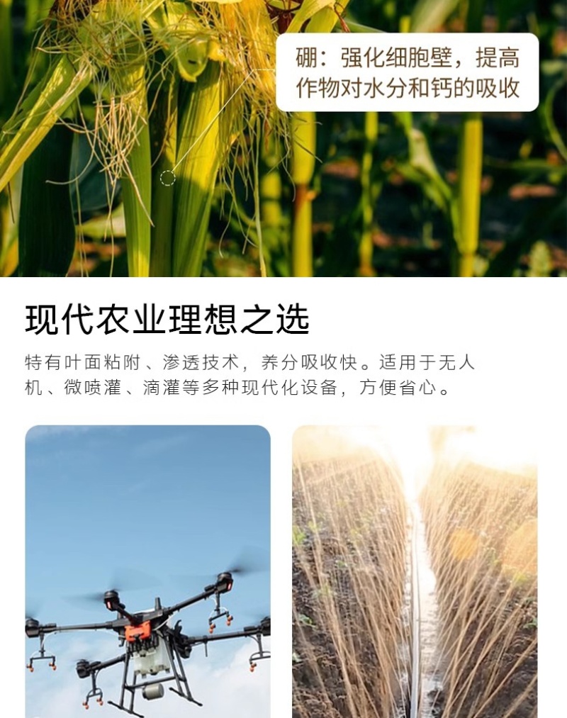 大量元素水溶肥料高磷高钾水溶肥河南水溶肥料天梦圆