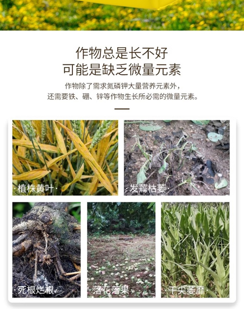 天梦圆大量元素水溶肥料高磷型促根系发育提高成活率