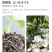 天梦圆大量元素水溶肥料高磷型促根系发育提高成活率