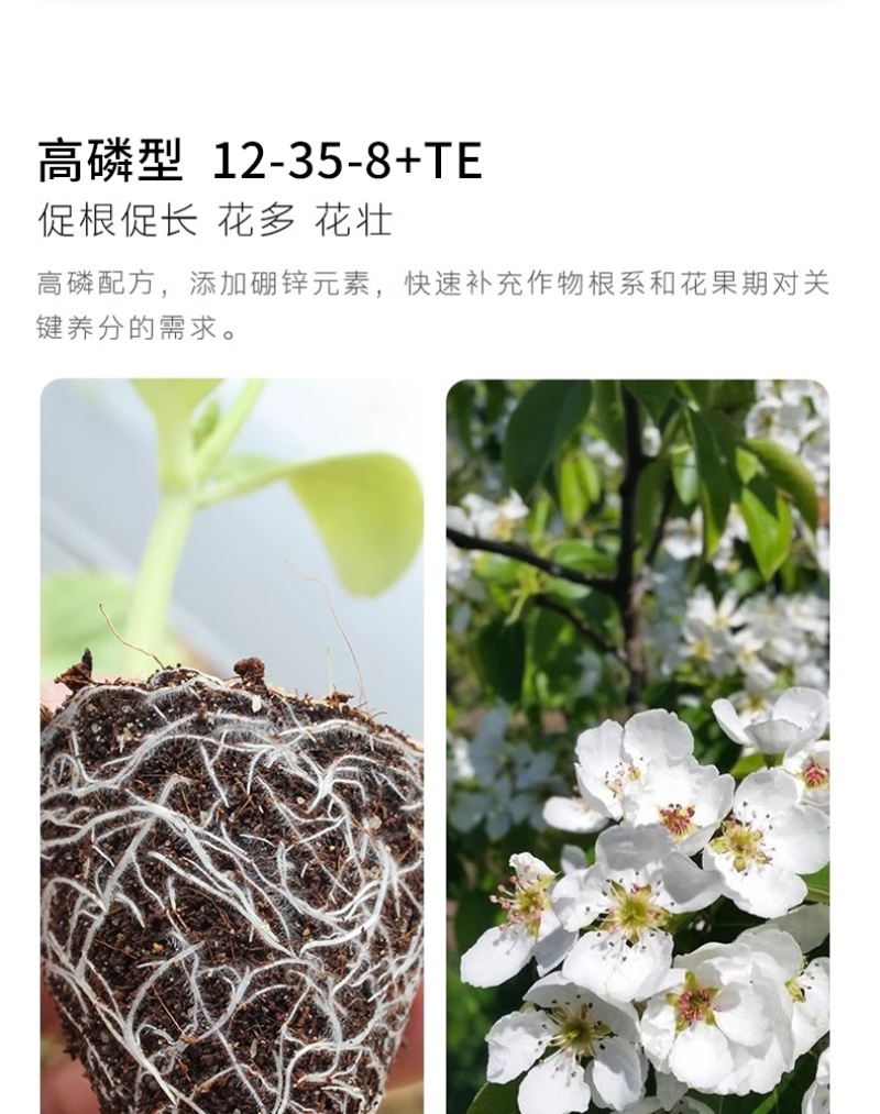 天梦圆大量元素水溶肥料高磷型促根系发育提高成活率