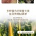 天梦圆大量元素水溶肥料高磷型促根系发育提高成活率