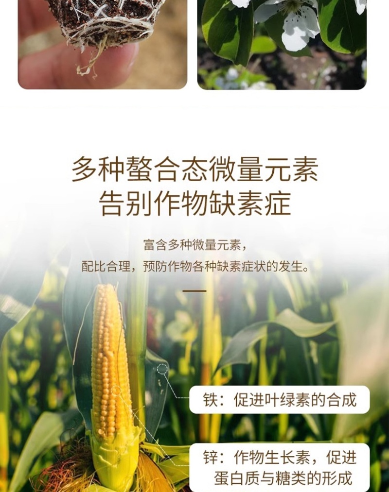 天梦圆大量元素水溶肥料高磷型促根系发育提高成活率