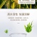 天梦圆大量元素水溶肥料高磷型促根系发育提高成活率