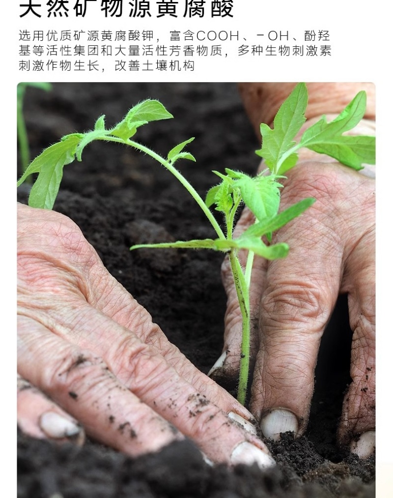 含腐植酸水溶肥料平衡型生根促长预防病害悬浮特效