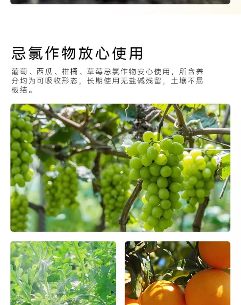 含腐植酸水溶肥料平衡型生根促长预防病害悬浮特效