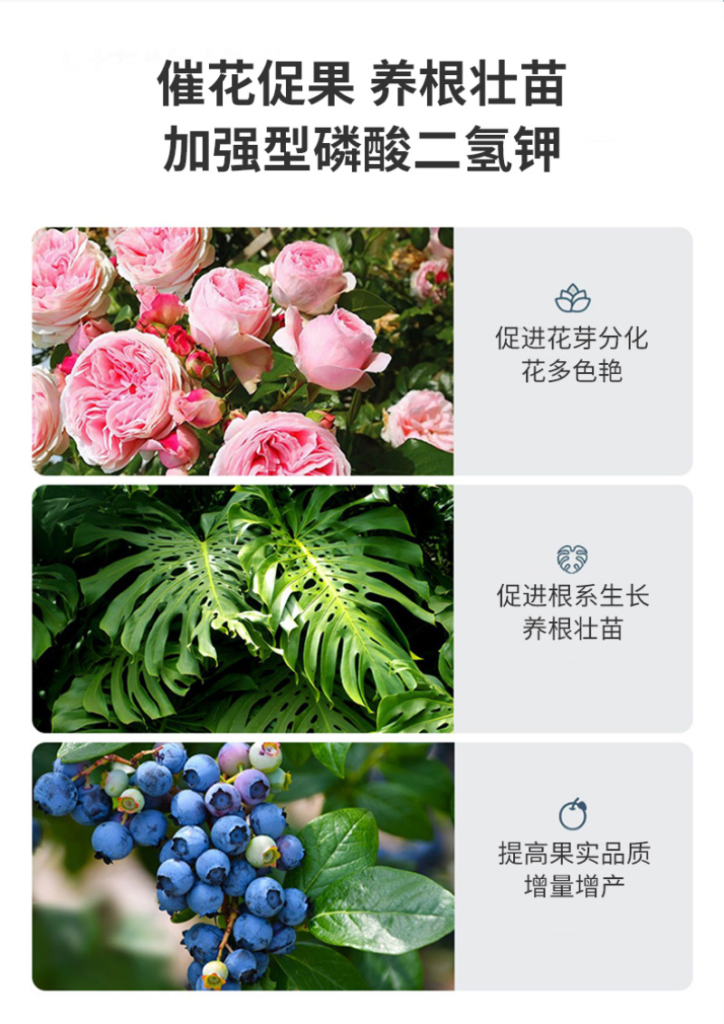 磷酸二氢钾二元复合肥钾肥磷酸二氢磷酸二氢钾水溶肥