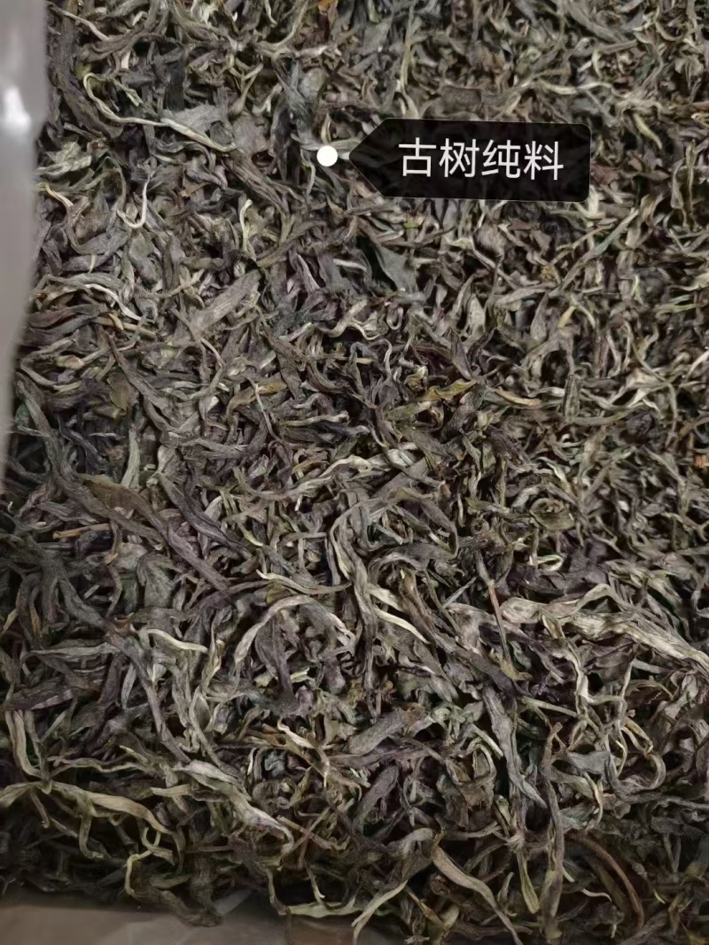 茶普洱茶古树普洱茶精品茶叶大平掌古树混采纯料