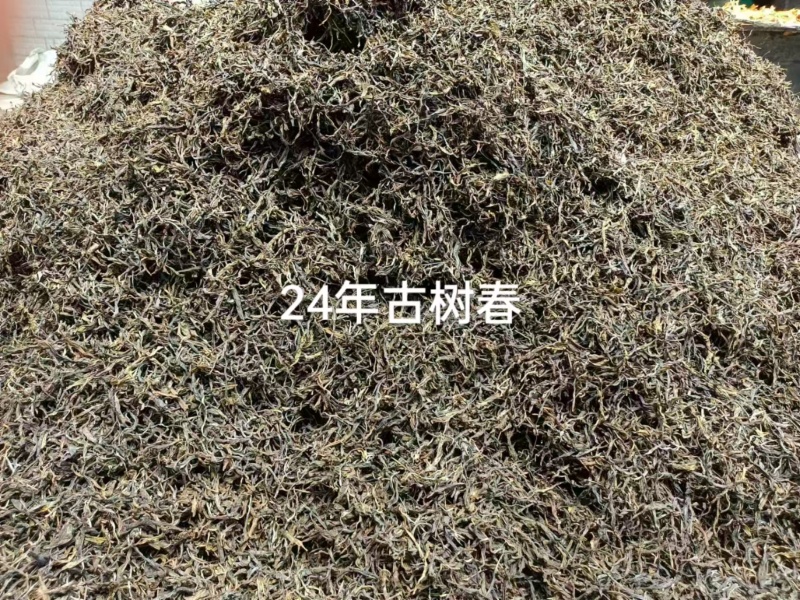 茶普洱茶古树普洱茶精品茶叶大平掌古树混采纯料