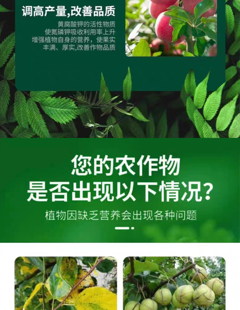 钾肥矿源黄腐酸钾水溶肥矿源防腐酸钾厂家天梦圆肥料
