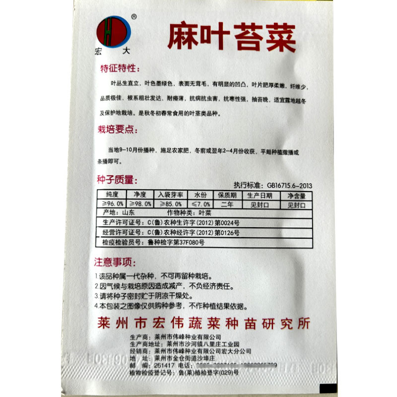 苔菜种子麻叶苔菜种子种植容易出芽快可炒食腌渍春秋播