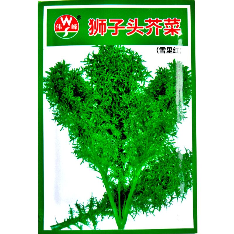 细叶正宗狮子头雪里蕻种籽小叶雪里红雪菜阳台盆栽青菜