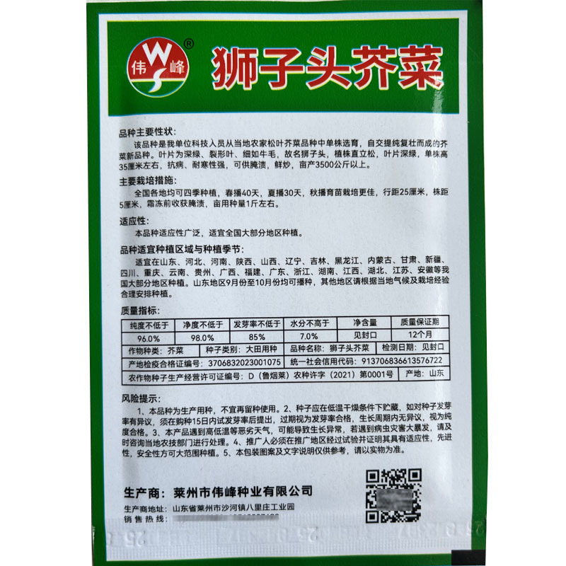 细叶正宗狮子头雪里蕻种籽小叶雪里红雪菜阳台盆栽青菜