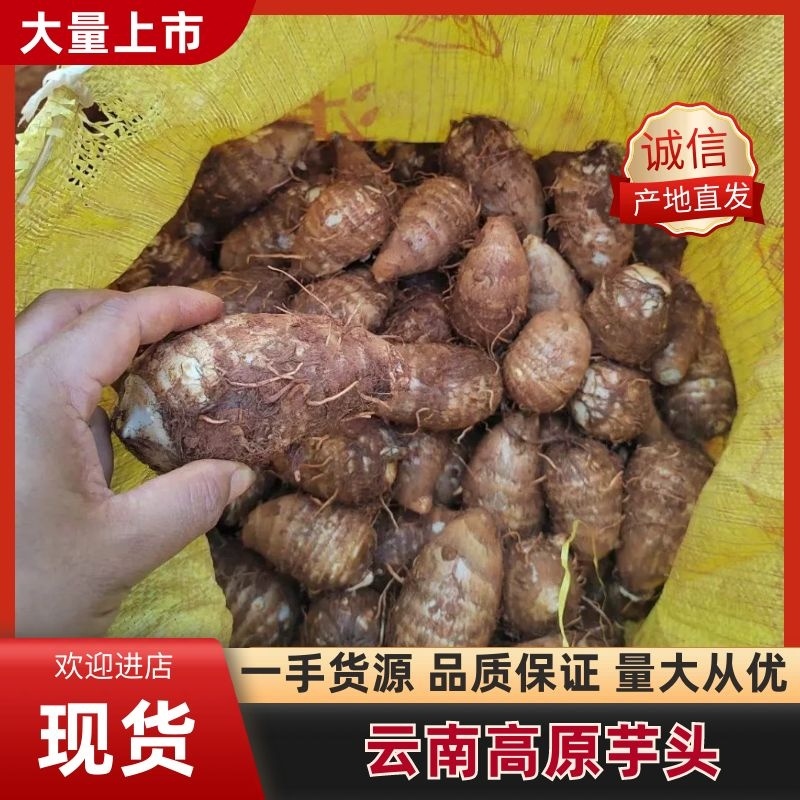 云南高原毛芋头电商货市场货可以对接。