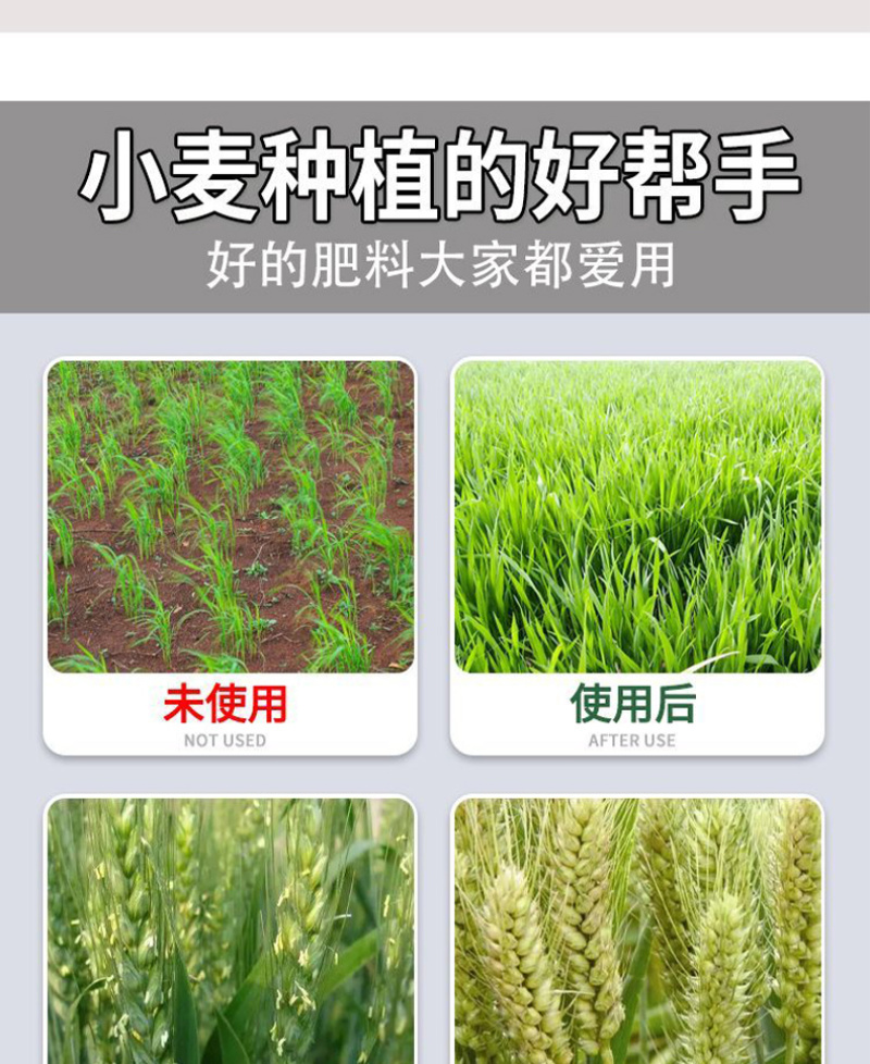 含氨基酸水溶肥料氨基酸水溶肥氨基酸叶面肥水溶肥料