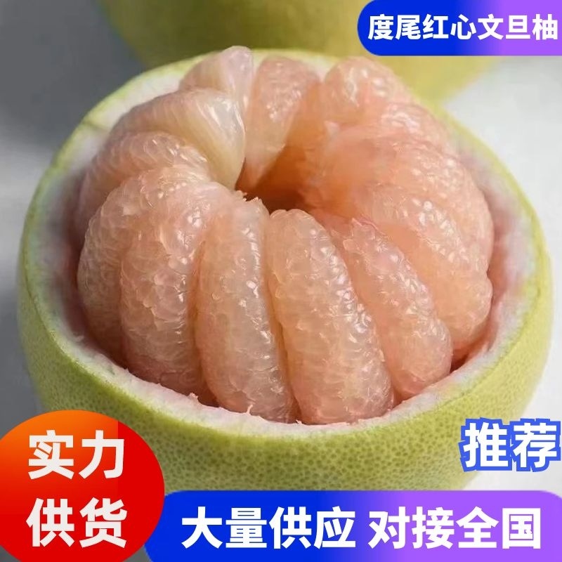 度尾红心文旦柚文旦柚产地直发提供一条龙服务欢迎咨询