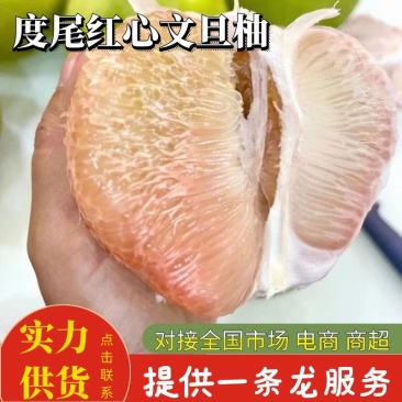 文旦柚度尾红心文旦柚大量供应产地直发对接全国市场