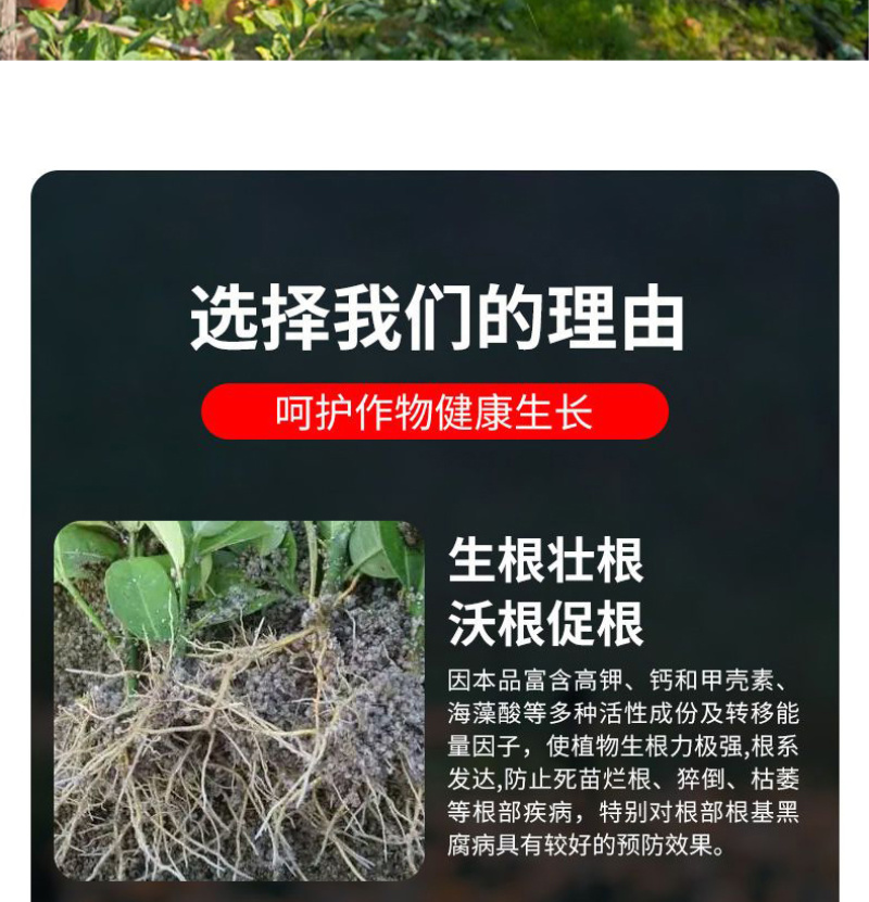 有机水溶肥有机水溶肥料水溶肥料果树水溶肥天梦圆