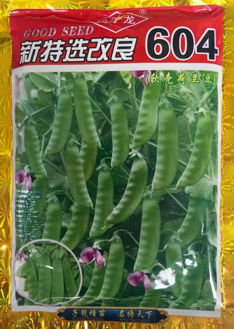改良604软壳荷兰豆种子耐热矮茎大荚紫花香甜脆嫩