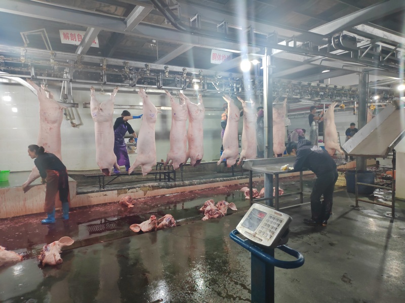 猪肉猪白条自有工厂保质保量诚信经营欢迎选购
