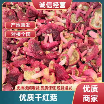 干红菇广西红菇货源充足，品质如图诚信经营欢迎咨询