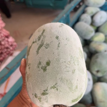 水果冬瓜开封小冬瓜品质好量大从优实力货发全国